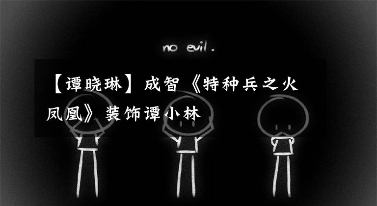 【谭晓琳】成智《特种兵之火凤凰》装饰谭小林