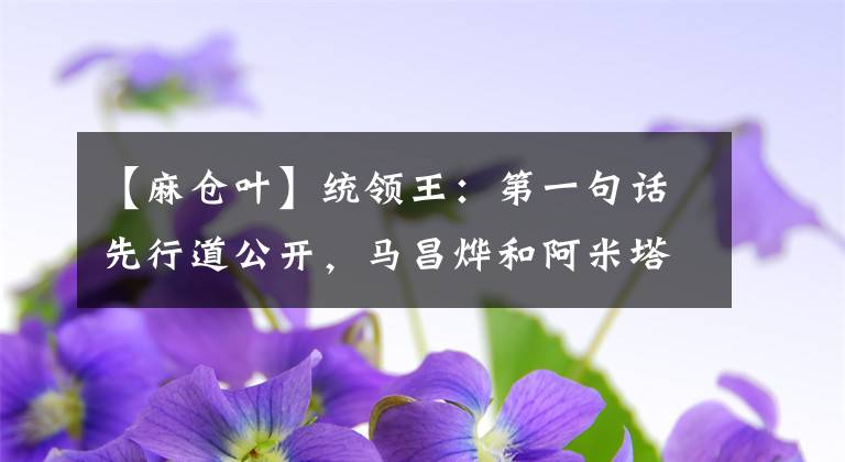 【麻仓叶】统领王:第一句话先行道公开,马昌烨和阿米塔桓见面,播出愚人节