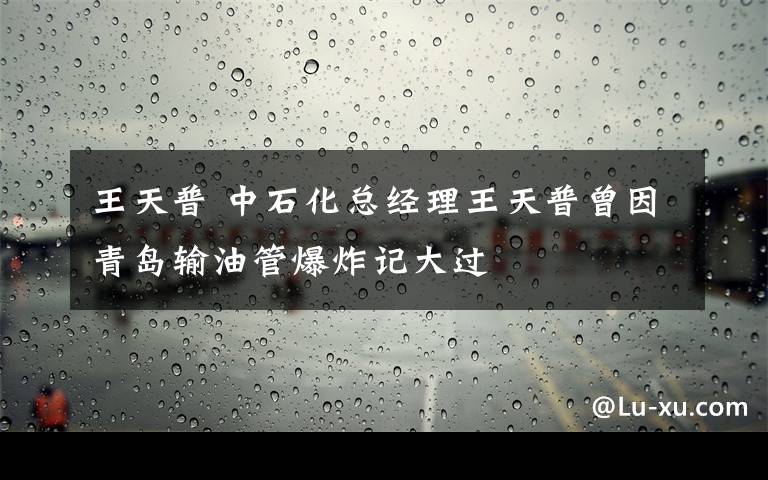 王天普 中石化总经理王天普曾因青岛输油管爆炸记大过