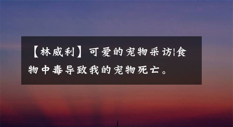 【林威利】可爱的宠物采访|食物中毒导致我的宠物死亡。