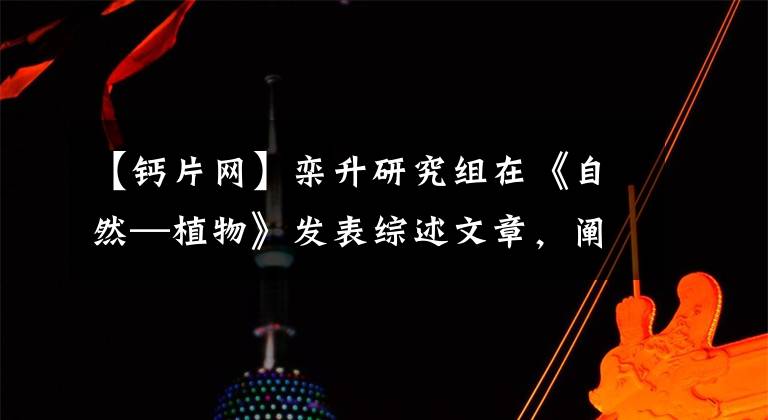 【钙片网】栾升研究组在《自然—植物》发表综述文章，阐述植物钙信号编码机理