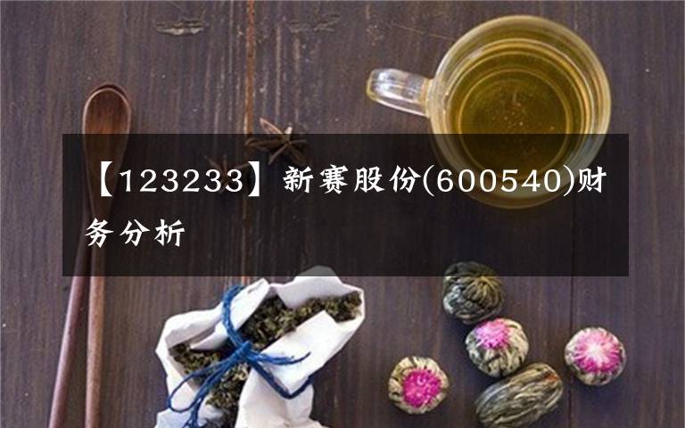 【123233】新赛股份(600540)财务分析
