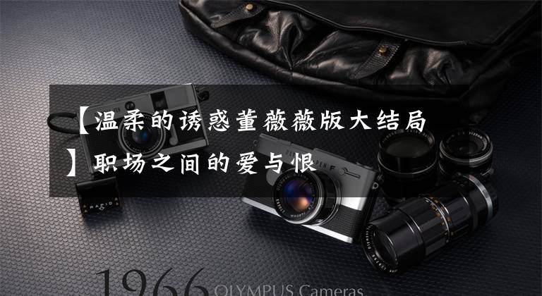 【温柔的诱惑董薇薇版大结局】职场之间的爱与恨