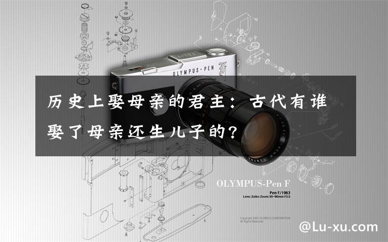 历史上娶母亲的君主:古代有谁娶了母亲还生儿子的?