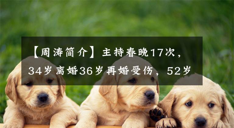 【周涛简介】主持春晚17次,34岁离婚36岁再婚受伤,52岁朱涛结婚幸福少女。