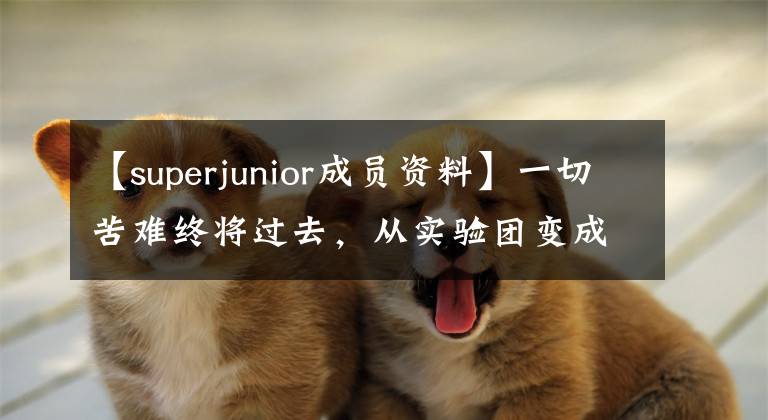 【superjunior成员资料】一切苦难终将过去，从实验团变成韩流帝王super  junior