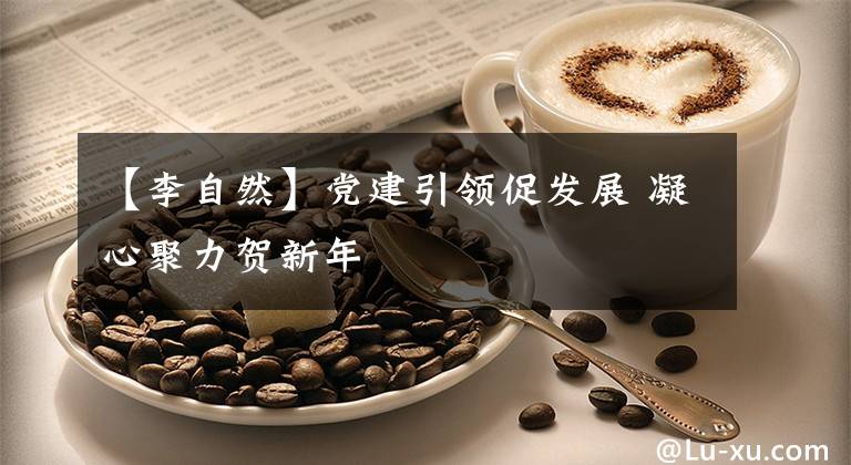 【李自然】党建引领促发展 凝心聚力贺新年