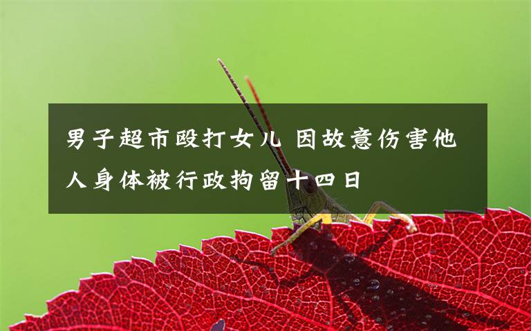 男子超市殴打女儿 因故意伤害他人身体被行政拘留十四日