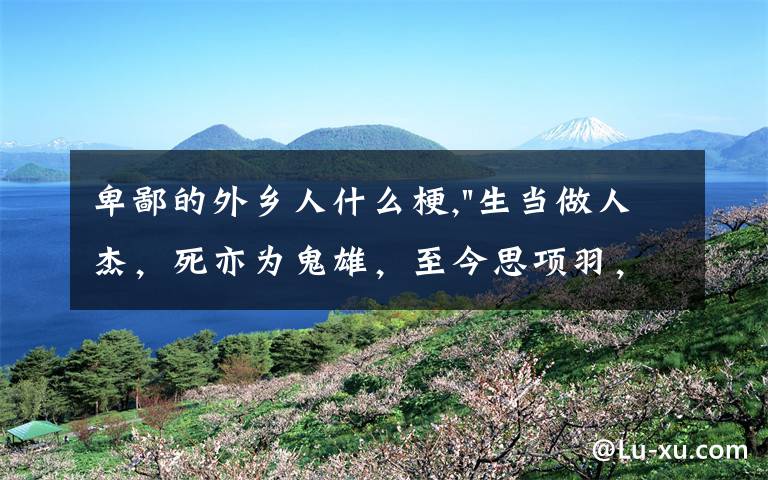 卑鄙的外乡人什么梗,