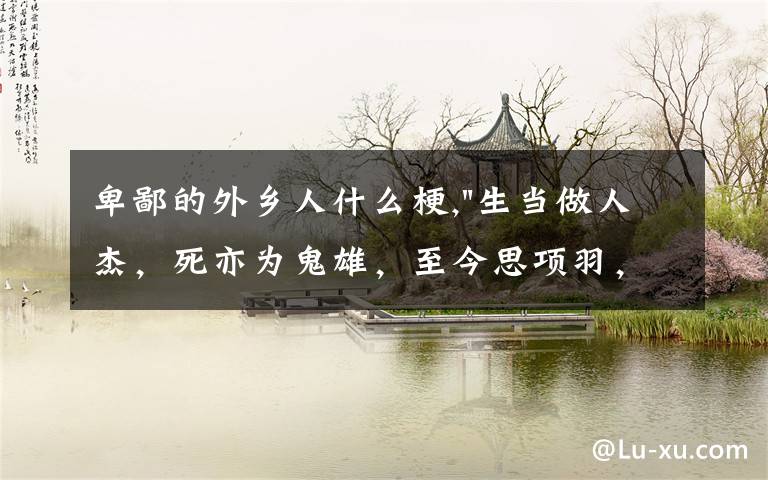 卑鄙的外乡人什么梗,