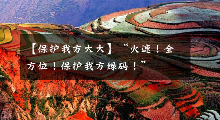 【保护我方大大】“火速！全方位！保护我方绿码！”