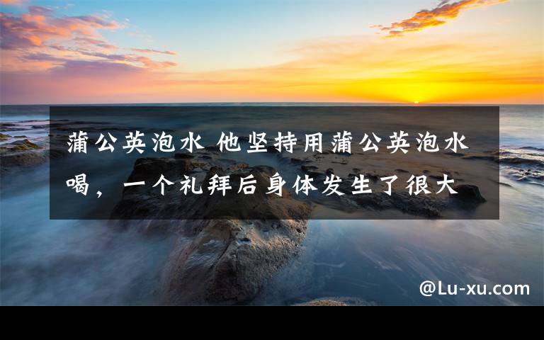 蒲公英泡水 他坚持用蒲公英泡水喝，一个礼拜后身体发生了很大改变