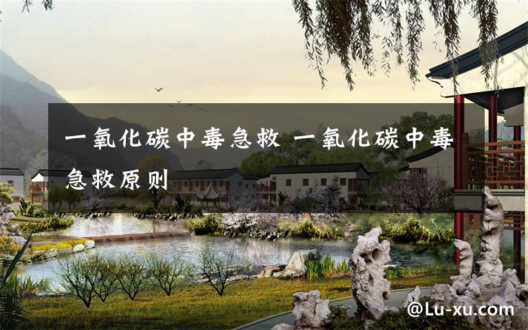 一氧化碳中毒急救 一氧化碳中毒急救原则