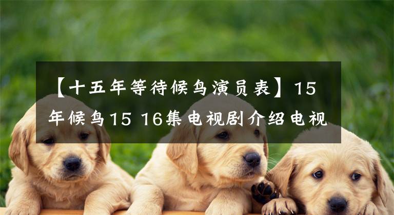 【十五年等待候鸟演员表】15年候鸟15 16集电视剧介绍电视剧全集1 ~ 20集演员大气