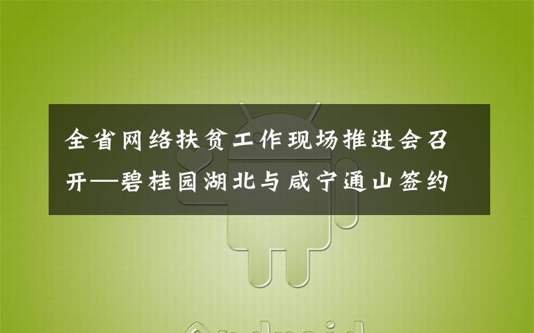 全省网络扶贫工作现场推进会召开—碧桂园湖北与咸宁通山签约结对帮扶项目