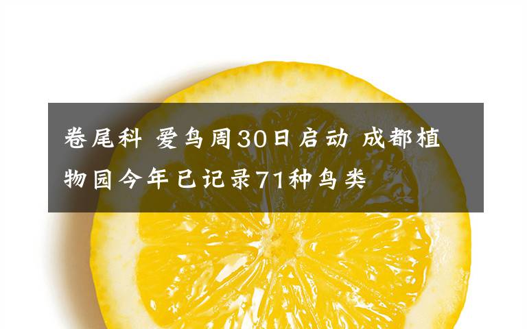 卷尾科 爱鸟周30日启动 成都植物园今年已记录71种鸟类