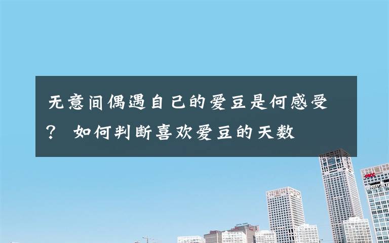 无意间偶遇自己的爱豆是何感受？ 如何判断喜欢爱豆的天数
