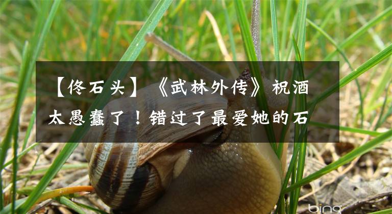 【佟石头】《武林外传》祝酒太愚蠢了!错过了最爱她的石头。