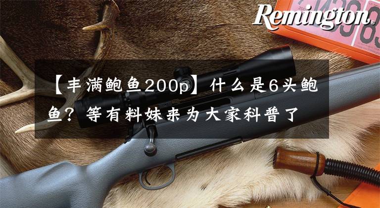 【丰满鲍鱼200p】什么是6头鲍鱼？等有料妹来为大家科普了