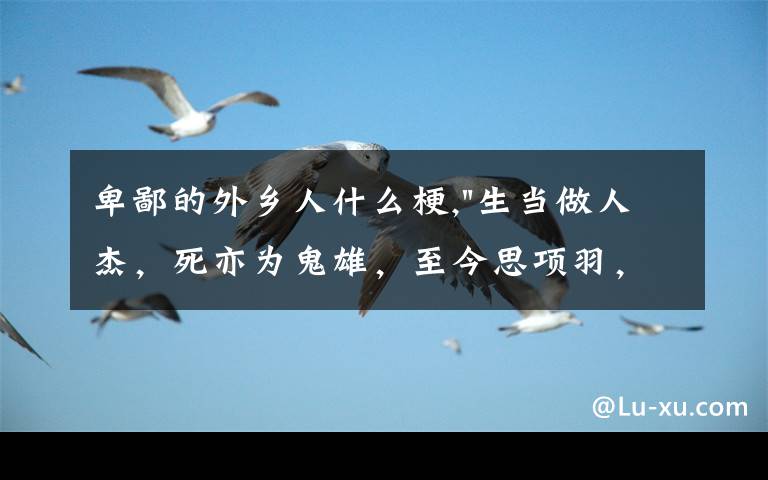 卑鄙的外乡人什么梗,