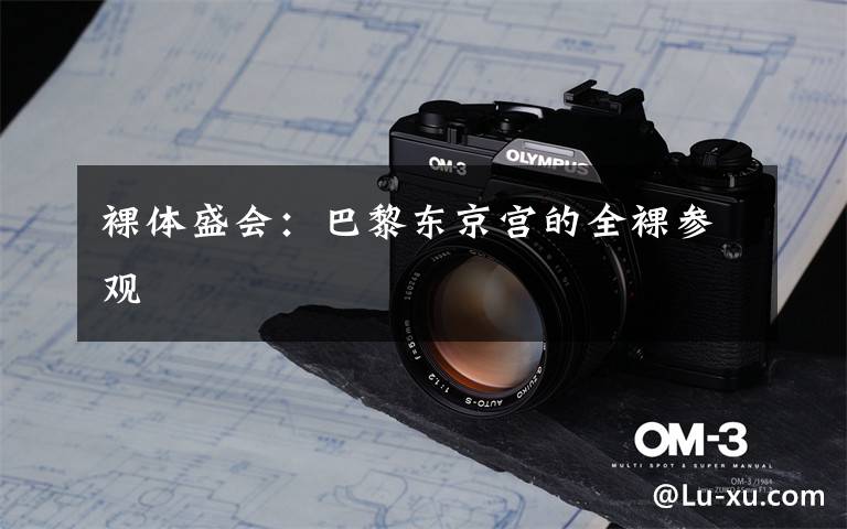 裸体盛会:巴黎东京宫的全裸参观