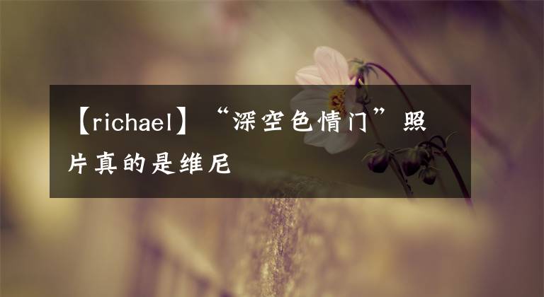 【richael】“深空色情门”照片真的是维尼