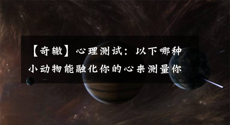 【奇辙】心理测试：以下哪种小动物能融化你的心来测量你的头部等级？