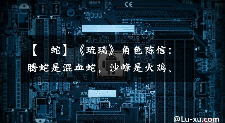 【螣蛇】《琉璃》角色陈信:腾蛇是混血蛇,沙峰是火鸡,玉神角神说服网友。