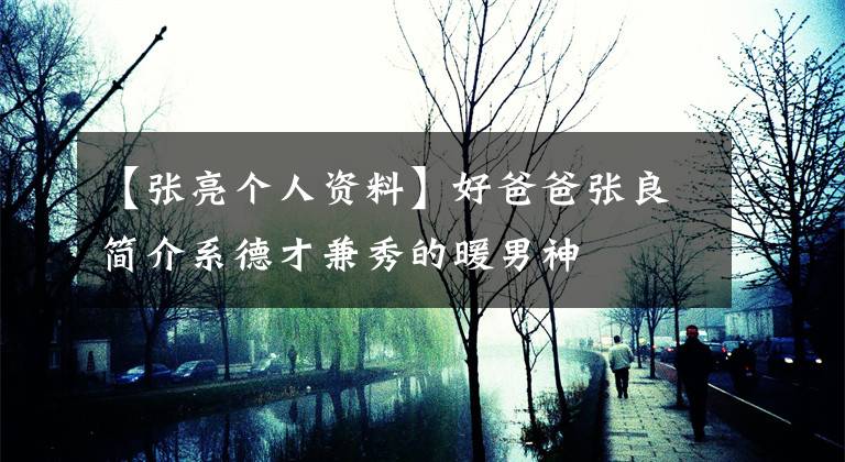 【张亮个人资料】好爸爸张良简介系德才兼秀的暖男神