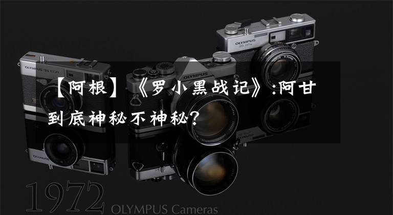 【阿根】《罗小黑战记》:阿甘到底神秘不神秘?