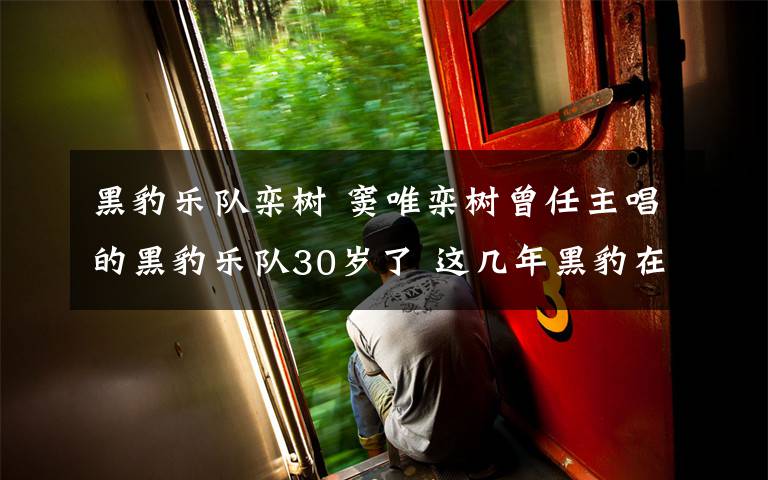 黑豹乐队栾树 窦唯栾树曾任主唱的黑豹乐队30岁了 这几年黑豹在做什么?