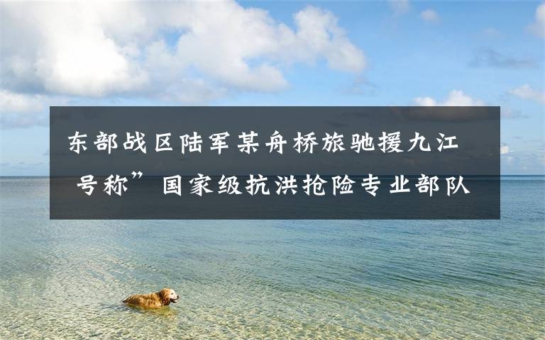 东部战区陆军某舟桥旅驰援九江 号称”国家级抗洪抢险专业部队”