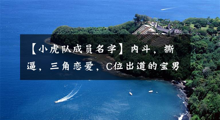 【小虎队成员名字】内斗，撕逼，三角恋爱，C位出道的宝男团小虎队。