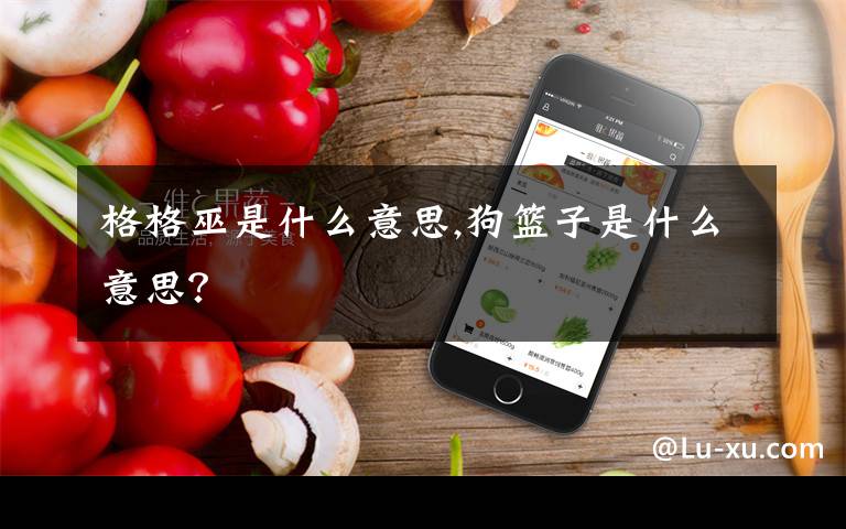 格格巫是什么意思,狗篮子是什么意思?