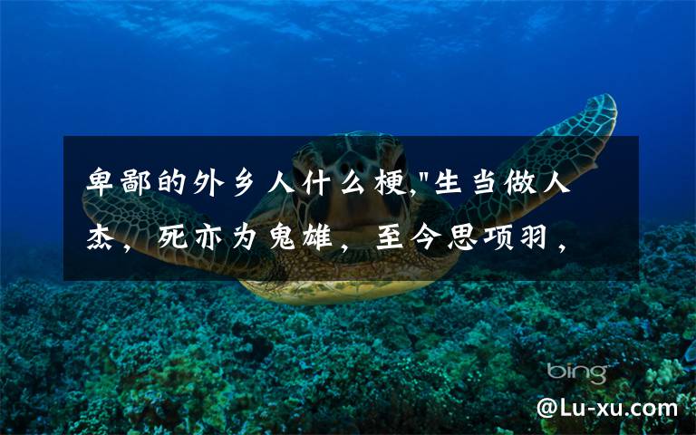 卑鄙的外乡人什么梗,