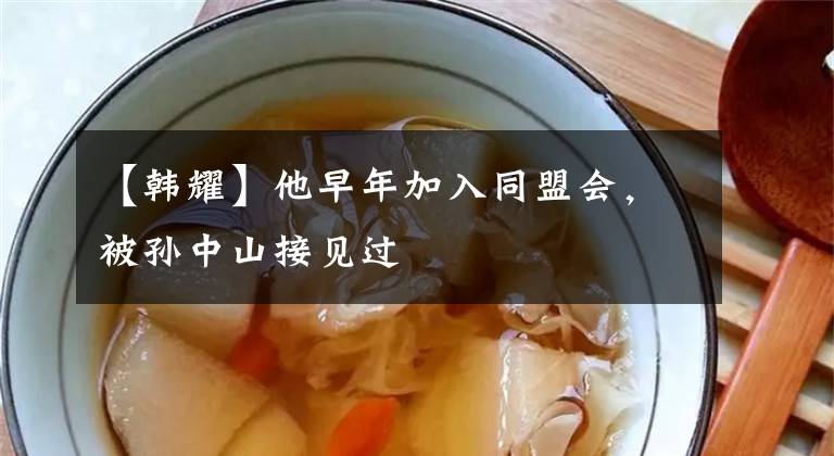 【韩耀】他早年加入同盟会,被孙中山接见过