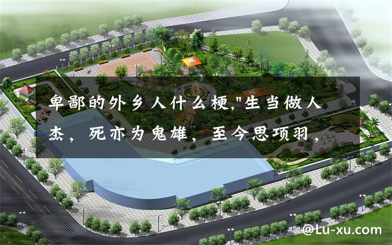 卑鄙的外乡人什么梗,