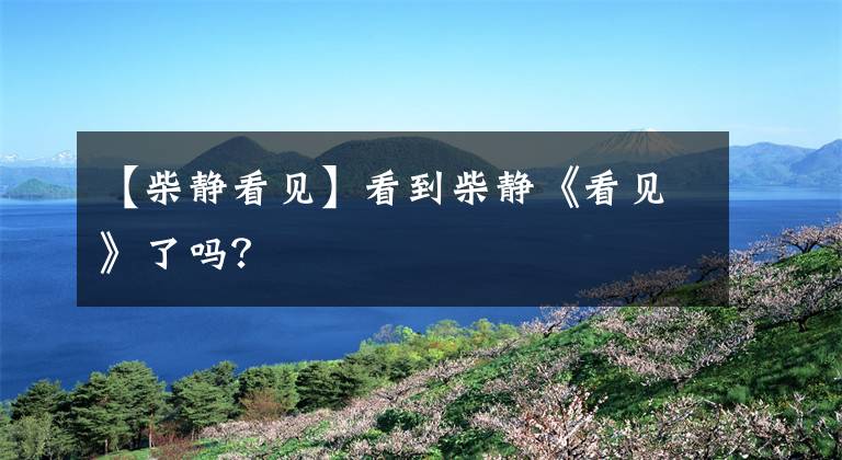 【柴静看见】看到柴静《看见》了吗?