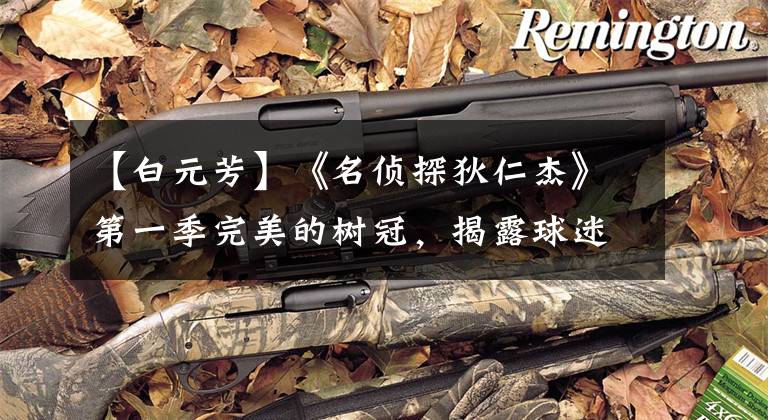 【白元芳】《名侦探狄仁杰》第一季完美的树冠,揭露球迷最大的苦衷!