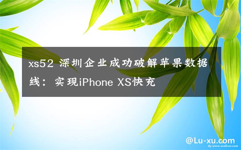 xs52 深圳企业成功破解苹果数据线:实现iPhone XS快充