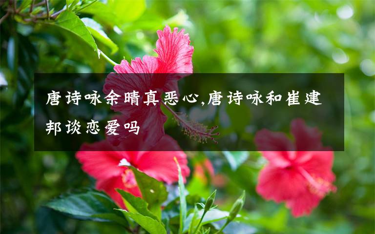 唐诗咏余晴真恶心,唐诗咏和崔建邦谈恋爱吗