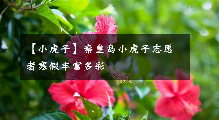 【小虎子】秦皇岛小虎子志愿者寒假丰富多彩