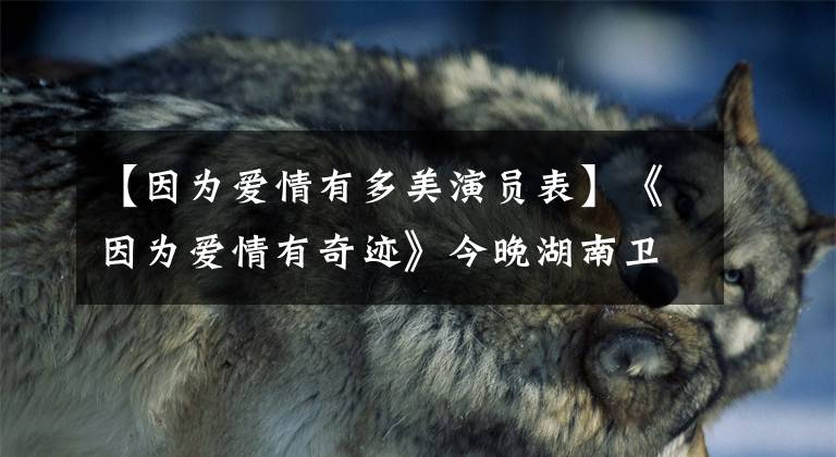 【因为爱情有多美演员表】《因为爱情有奇迹》今晚湖南卫视播出,赵汉樱原琼林宇伟主演。
