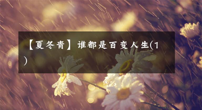 【夏冬青】谁都是百变人生(1)
