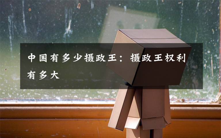 中国有多少摄政王:摄政王权利有多大