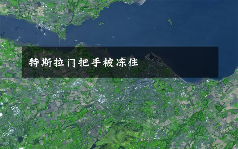 特斯拉门把手被冻住