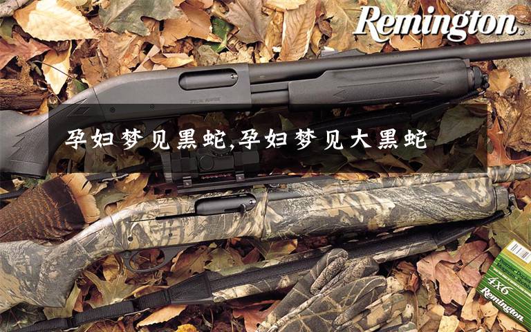 孕妇梦见黑蛇,孕妇梦见大黑蛇