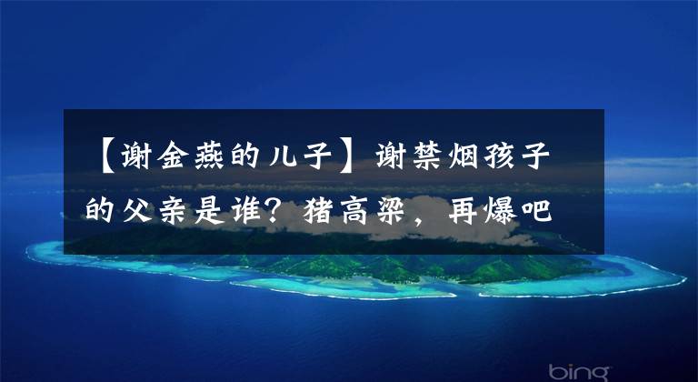 【谢金燕的儿子】谢禁烟孩子的父亲是谁?猪高梁,再爆吧,大儿子早就知道了。