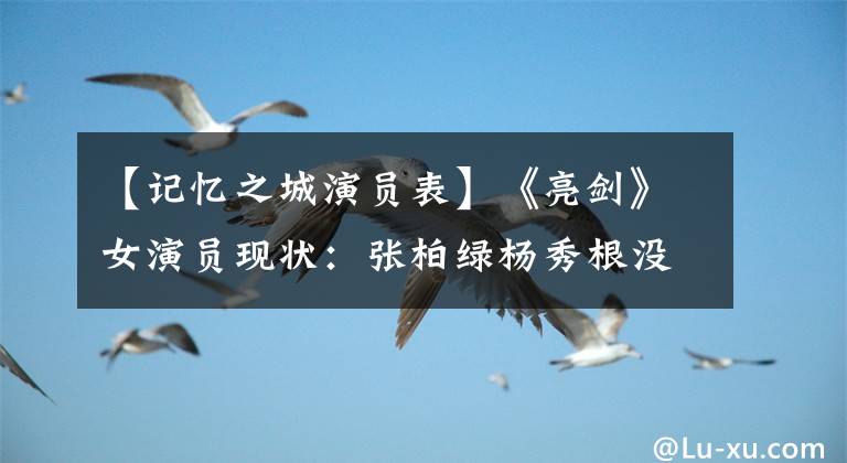 【记忆之城演员表】《亮剑》女演员现状：张柏绿杨秀根没有消息，赵刚夫人成为一线大腕。