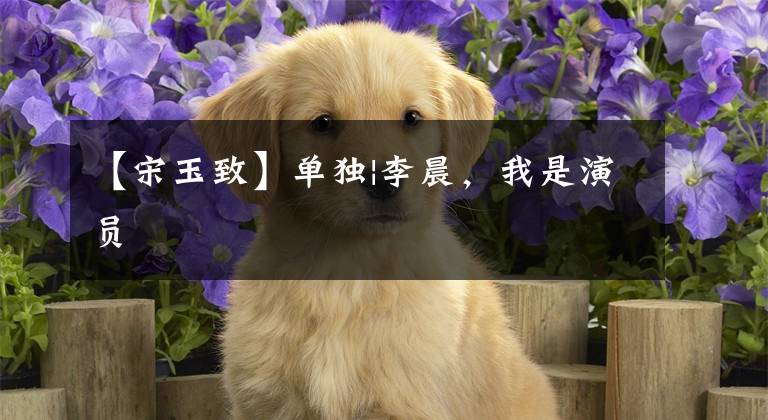 【宋玉致】单独|李晨,我是演员